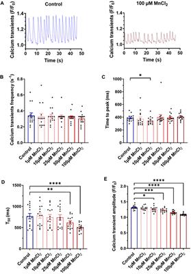 Assessment of Cardiac Toxicity of Manganese Chloride for Cardiovascular Magnetic Resonance